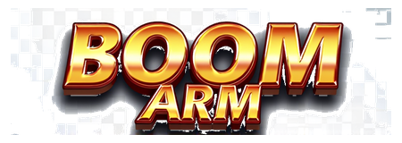 boom arm logo